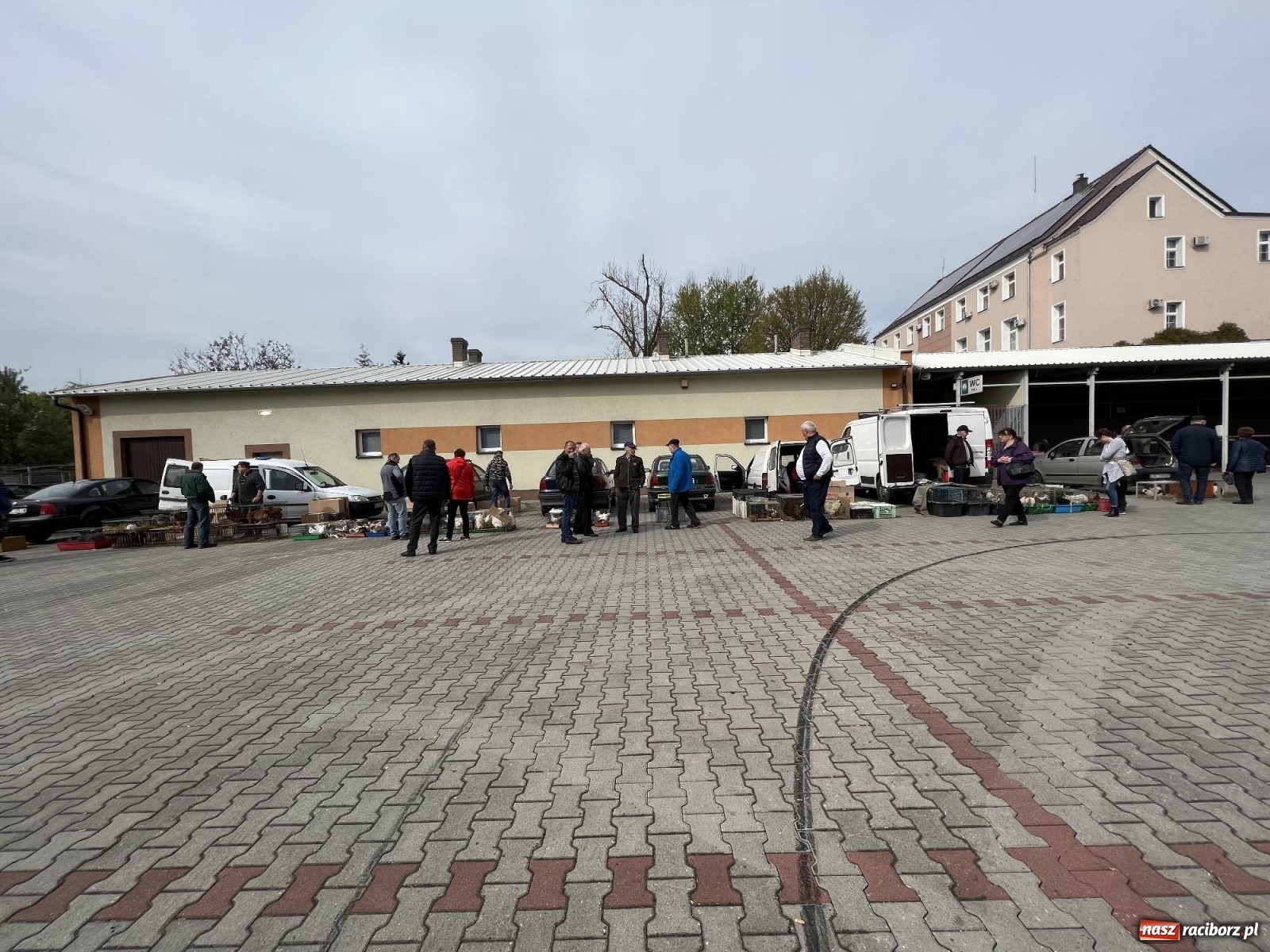 Zdjęcie w galerii na portalu naszraciborz.pl: Starocie i konie. Kwietniowy targ w Pietrowicach Wielkich wiadomości z regionu