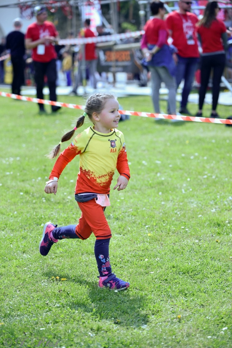 Zdjęcie w galerii na portalu naszraciborz.pl: Druga bitwa o basztę. Do Raciborza przyjechało 100 proc. więcej wojowników wiadomości z regionu
