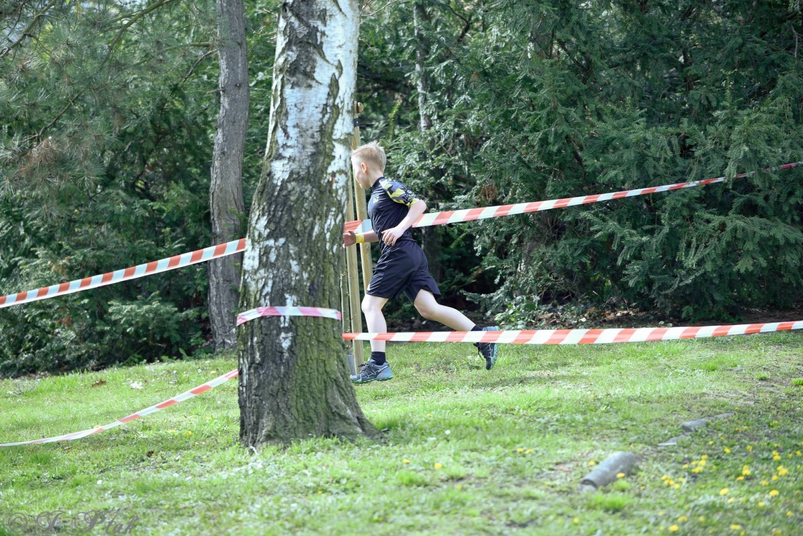 Zdjęcie w galerii na portalu naszraciborz.pl: Druga bitwa o basztę. Do Raciborza przyjechało 100 proc. więcej wojowników wiadomości z regionu