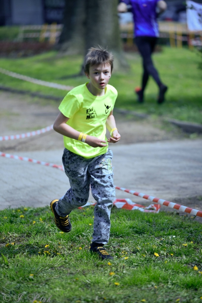 Zdjęcie w galerii na portalu naszraciborz.pl: Druga bitwa o basztę. Do Raciborza przyjechało 100 proc. więcej wojowników wiadomości z regionu