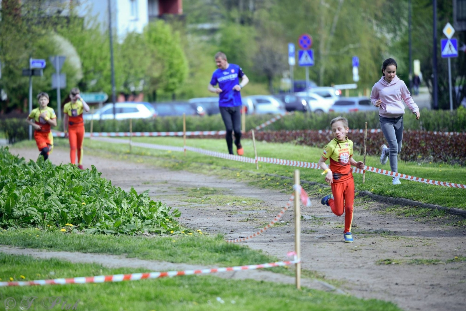 Zdjęcie w galerii na portalu naszraciborz.pl: Druga bitwa o basztę. Do Raciborza przyjechało 100 proc. więcej wojowników wiadomości z regionu