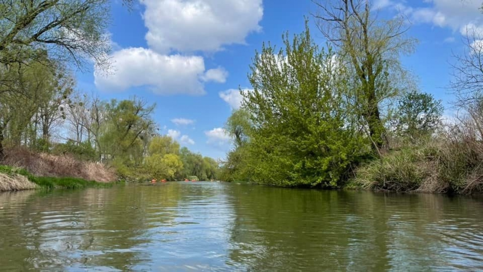 Zdjęcie w galerii na portalu naszraciborz.pl: Kuźniański MOW w akcji Czysta Odra [FOTO] wiadomości z regionu