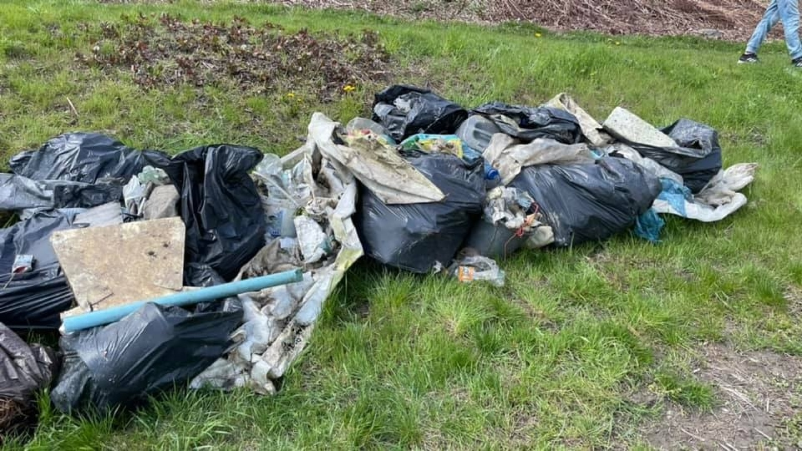 Zdjęcie w galerii na portalu naszraciborz.pl: Kuźniański MOW w akcji Czysta Odra [FOTO] wiadomości z regionu