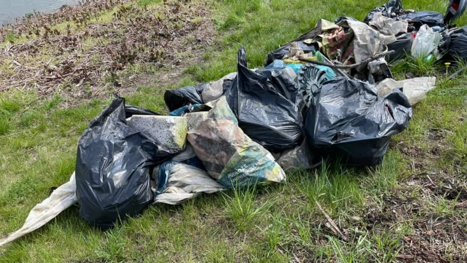 Zdjęcie w galerii na portalu naszraciborz.pl: Kuźniański MOW w akcji Czysta Odra [FOTO] wiadomości z regionu