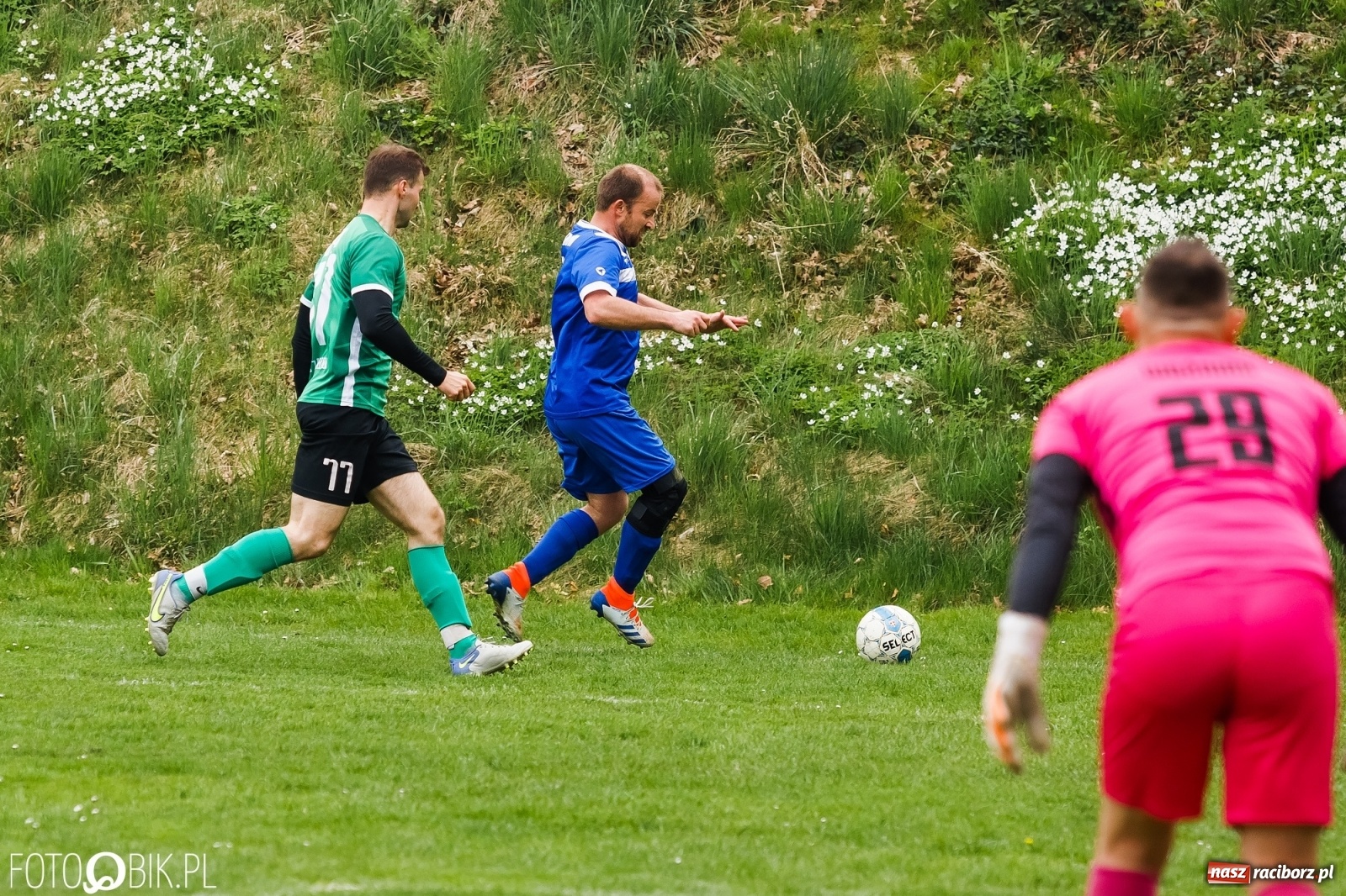 Zdjęcie w galerii na portalu naszraciborz.pl: Gamów bez polotu, daleki od wzlotu [FOTO] wiadomości z regionu