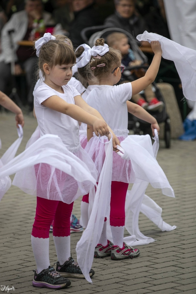 Zdjęcie w galerii na portalu naszraciborz.pl: Majówka na farskim placu w Krzanowicach [FOTO] wiadomości z regionu