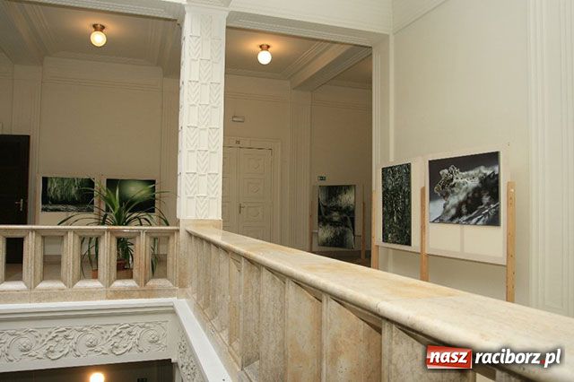 Zdjęcie w galerii na portalu naszraciborz.pl: Wystawa raciborzanki w Opawie wiadomości z regionu