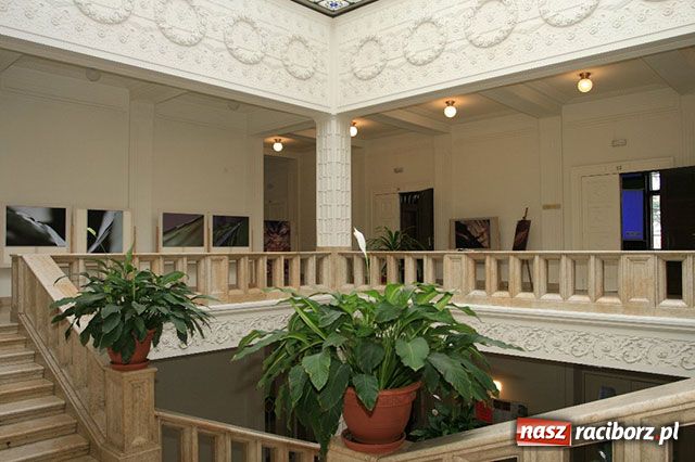 Zdjęcie w galerii na portalu naszraciborz.pl: Wystawa raciborzanki w Opawie wiadomości z regionu