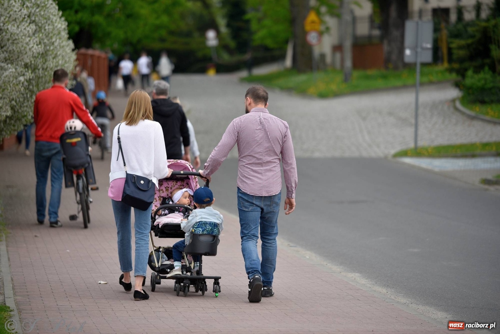 Zdjęcie w galerii na portalu naszraciborz.pl: Po dwóch latach do Raciborza wrócił Bieg bez Granic wiadomości z regionu