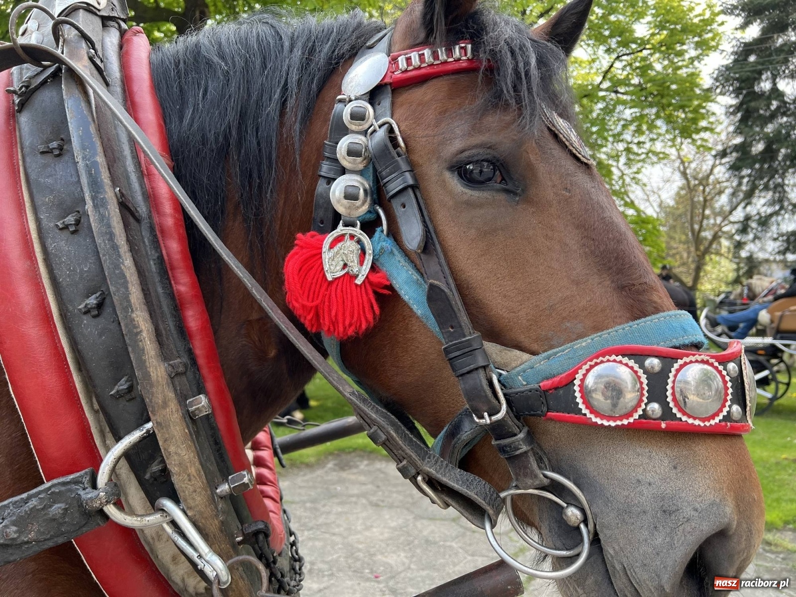 Zdjęcie w galerii na portalu naszraciborz.pl: Pradawnym zwyczajem ojców w Pogrzebieniu wyruszyła procesja na św. Floriana wiadomości z regionu