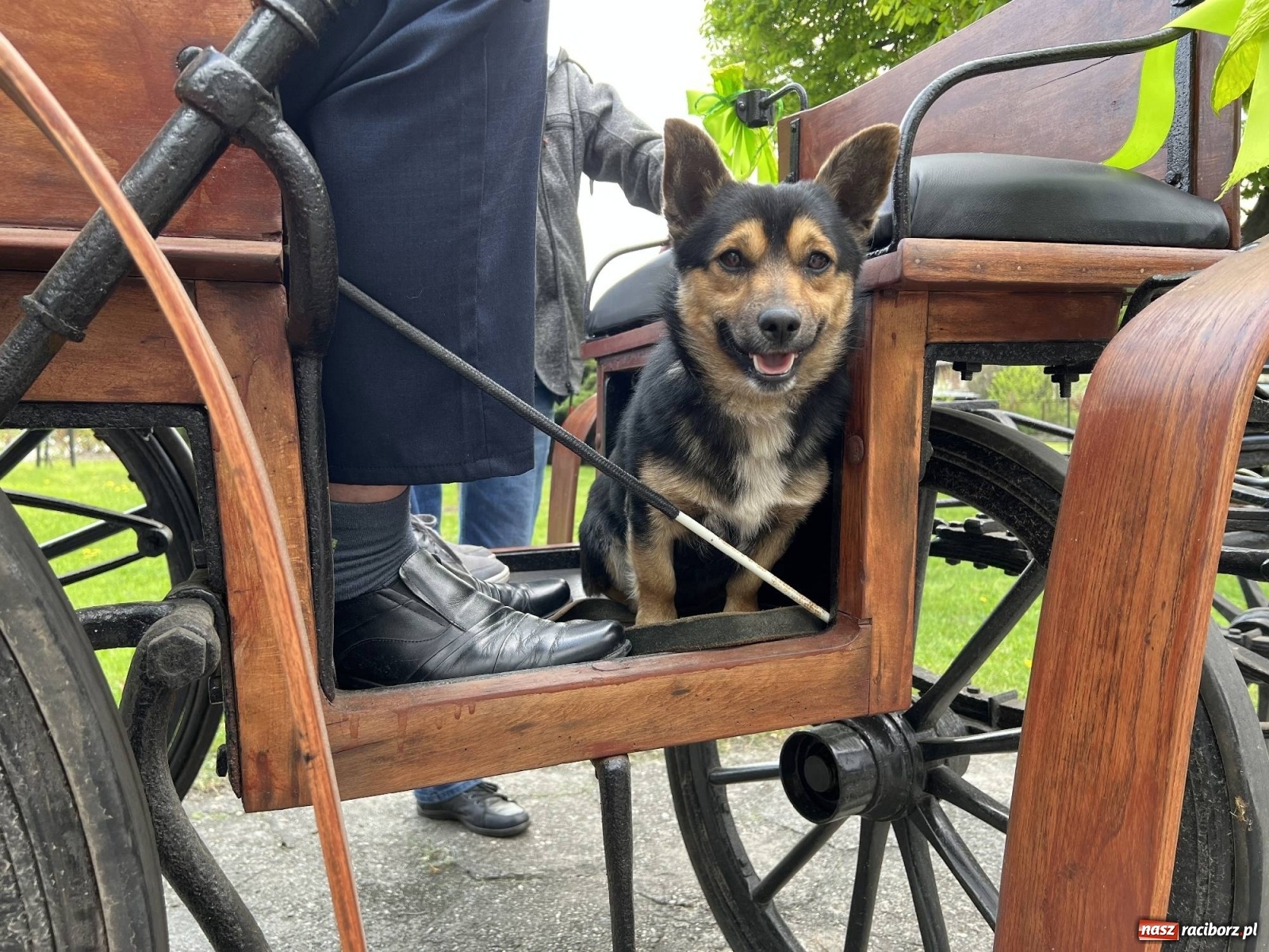 Zdjęcie w galerii na portalu naszraciborz.pl: Pradawnym zwyczajem ojców w Pogrzebieniu wyruszyła procesja na św. Floriana wiadomości z regionu