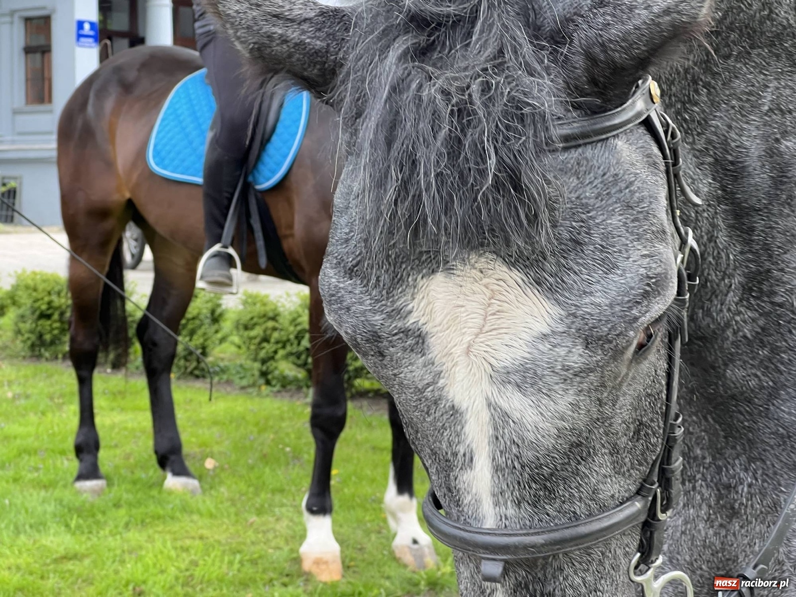 Zdjęcie w galerii na portalu naszraciborz.pl: Pradawnym zwyczajem ojców w Pogrzebieniu wyruszyła procesja na św. Floriana wiadomości z regionu