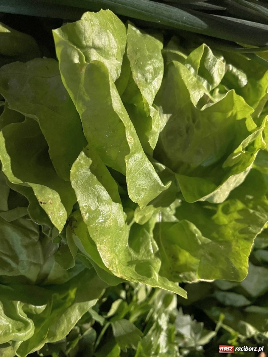 Zdjęcie w galerii na portalu naszraciborz.pl: Inflacja dotarła na raciborski BIOBazar. Ile kosztuje dziś zdrowe jedzenie? wiadomości z regionu