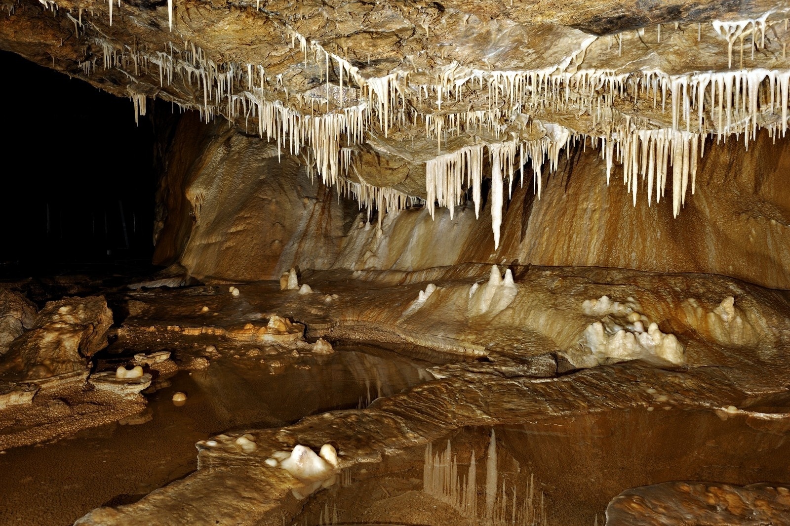 Zdjęcie w galerii na portalu naszraciborz.pl: Złote w maju czy Stołowe w czerwcu? Orinoko zaprasza na Ziemię Kłodzką!  wiadomości z regionu