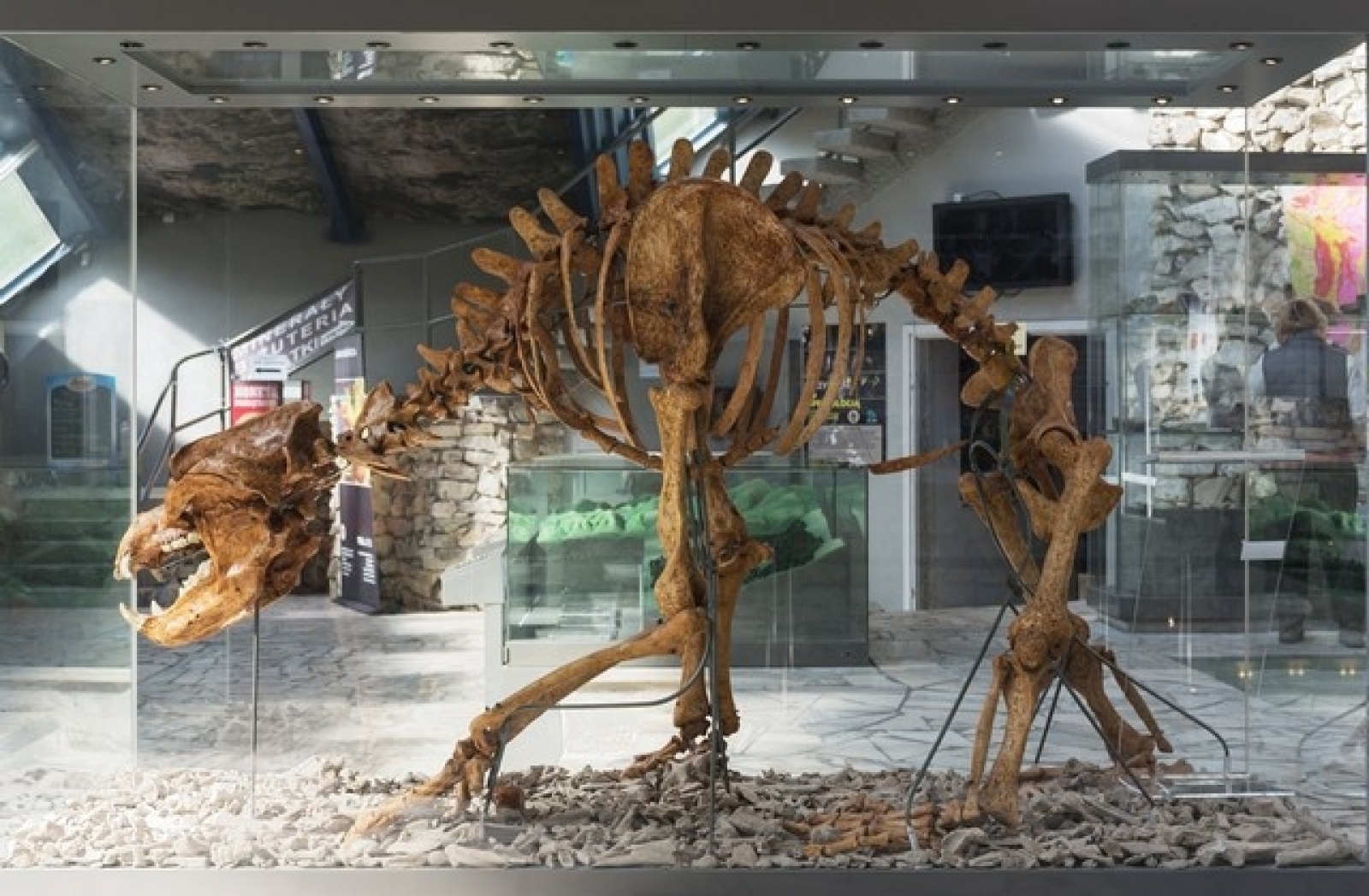 Zdjęcie w galerii na portalu naszraciborz.pl: Złote w maju czy Stołowe w czerwcu? Orinoko zaprasza na Ziemię Kłodzką!  wiadomości z regionu