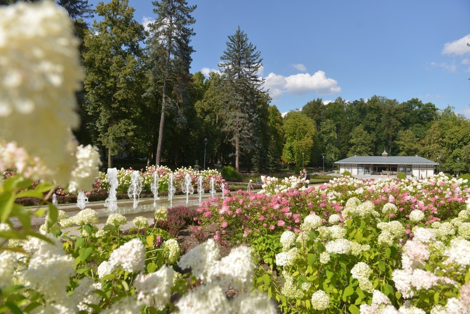 Zdjęcie w galerii na portalu naszraciborz.pl: Złote w maju czy Stołowe w czerwcu? Orinoko zaprasza na Ziemię Kłodzką!  wiadomości z regionu
