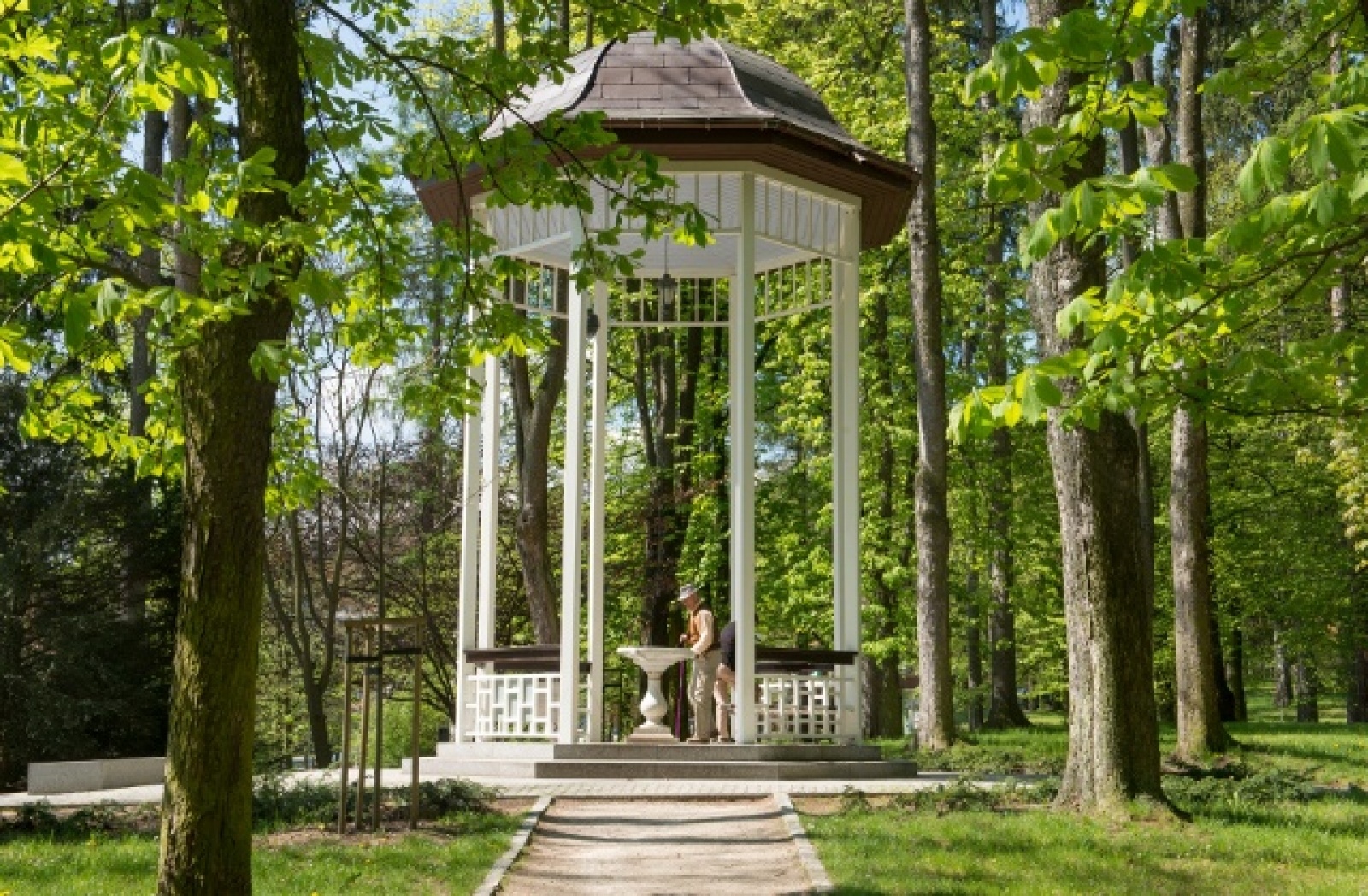 Zdjęcie w galerii na portalu naszraciborz.pl: Złote w maju czy Stołowe w czerwcu? Orinoko zaprasza na Ziemię Kłodzką!  wiadomości z regionu