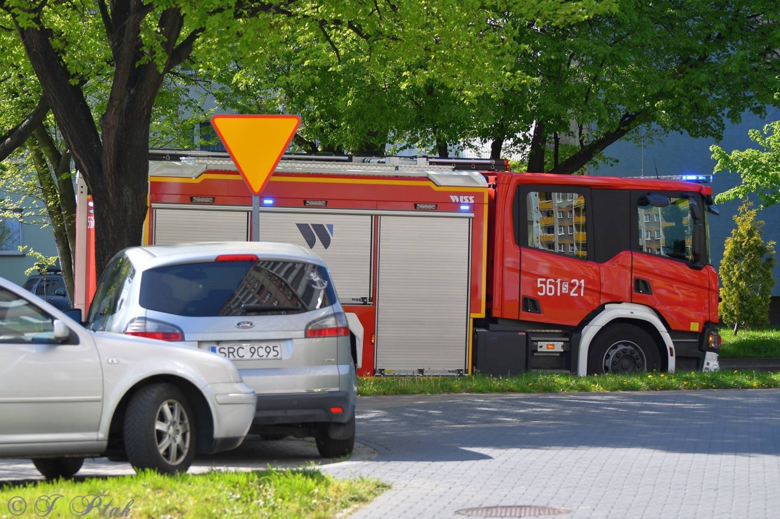 Zdjęcie w galerii na portalu naszraciborz.pl: Raport 998. Rój pszczół na Katowickiej [FOTO] wiadomości z regionu