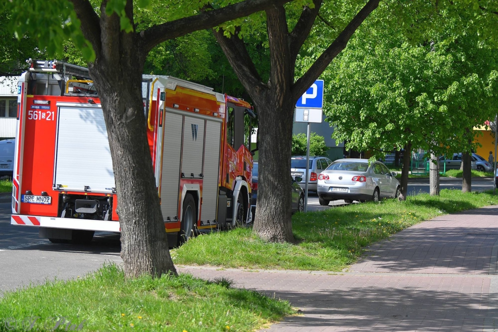Zdjęcie w galerii na portalu naszraciborz.pl: Raport 998. Rój pszczół na Katowickiej [FOTO] wiadomości z regionu