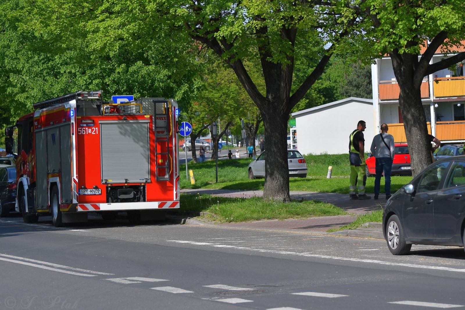 Zdjęcie w galerii na portalu naszraciborz.pl: Raport 998. Rój pszczół na Katowickiej [FOTO] wiadomości z regionu
