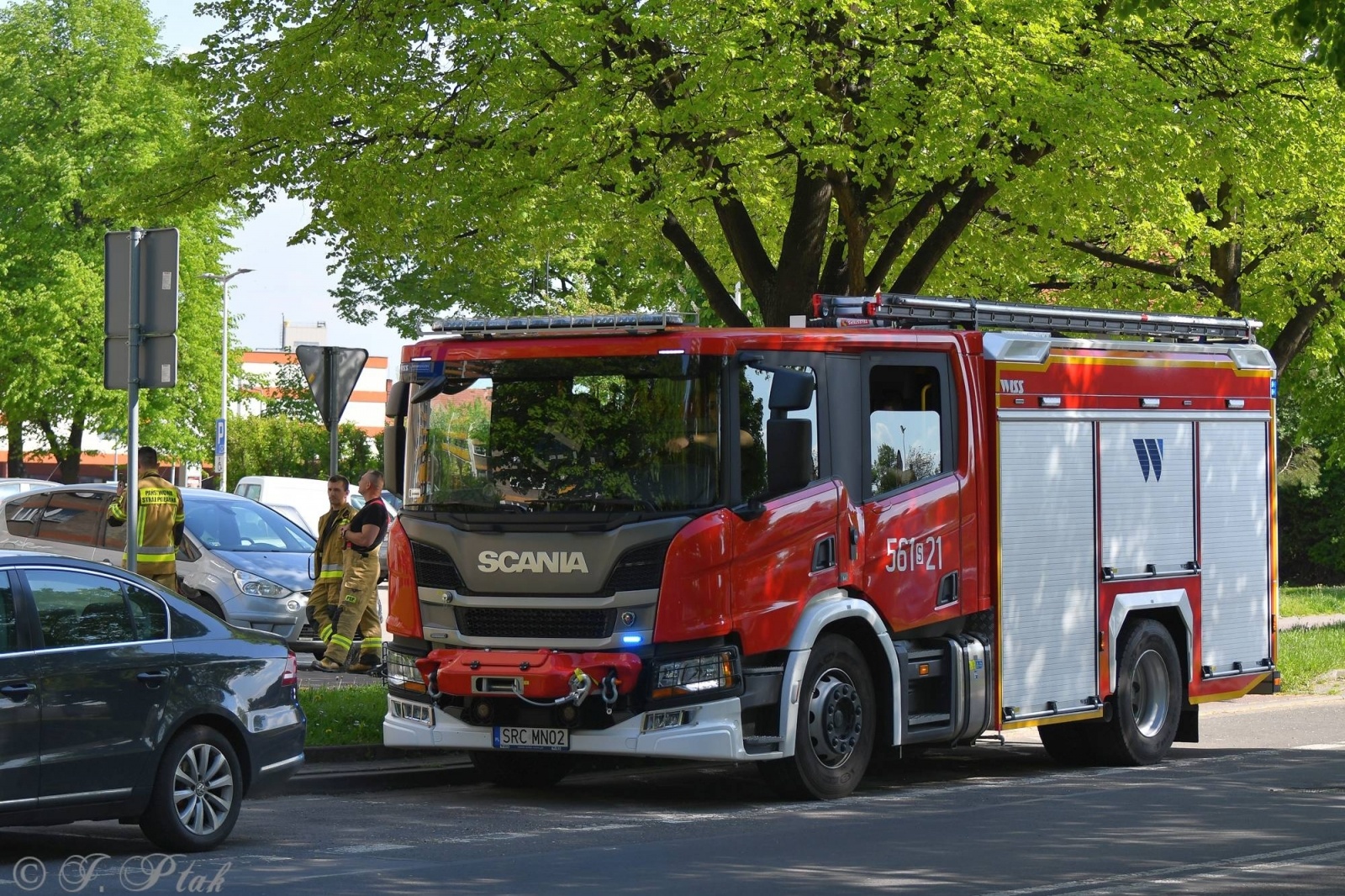 Zdjęcie w galerii na portalu naszraciborz.pl: Raport 998. Rój pszczół na Katowickiej [FOTO] wiadomości z regionu
