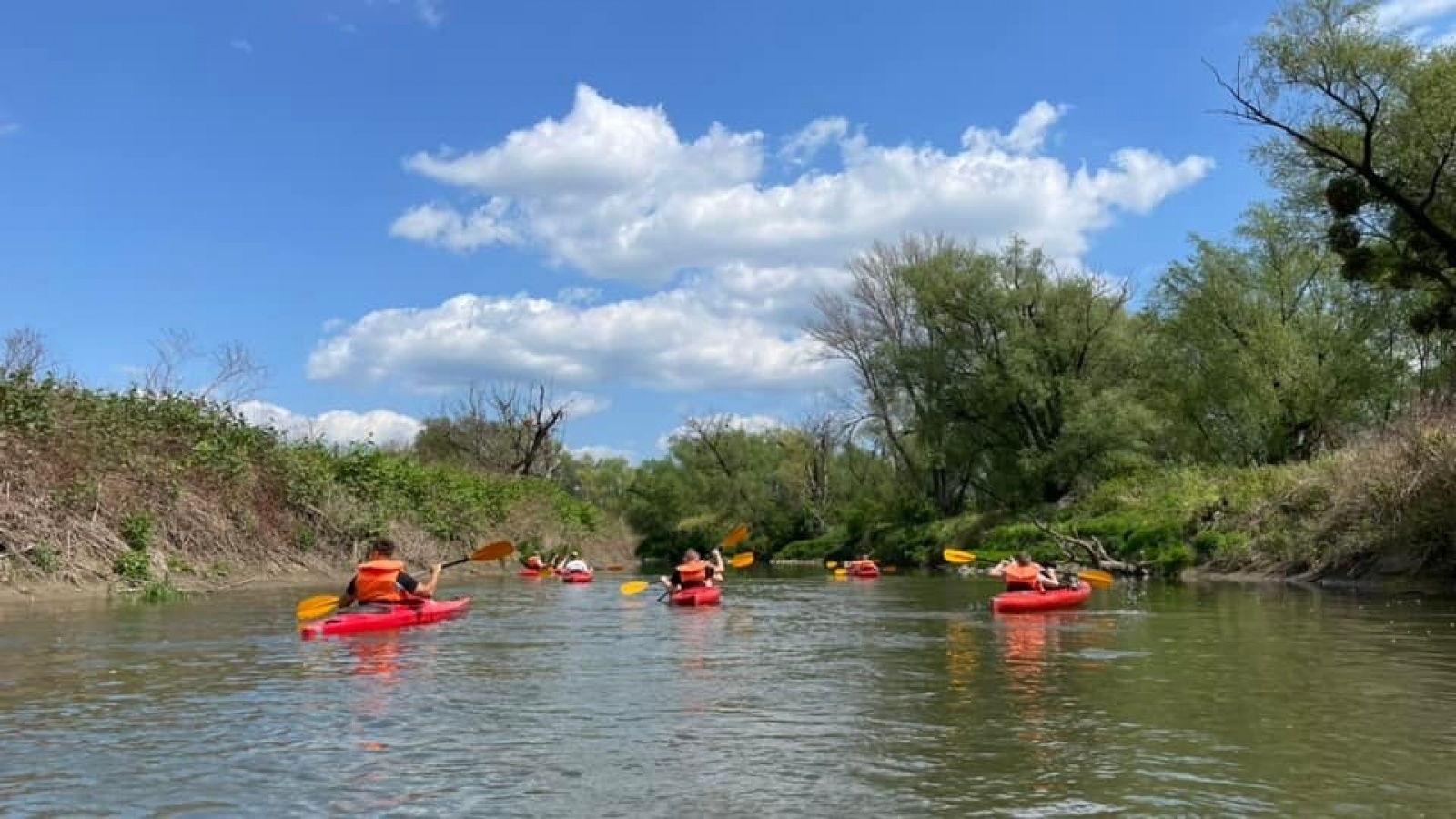 Zdjęcie w galerii na portalu naszraciborz.pl: Pływające śmieciarki na Odrze. Ekologiczna akcja w Raciborzu [FOTO] wiadomości z regionu