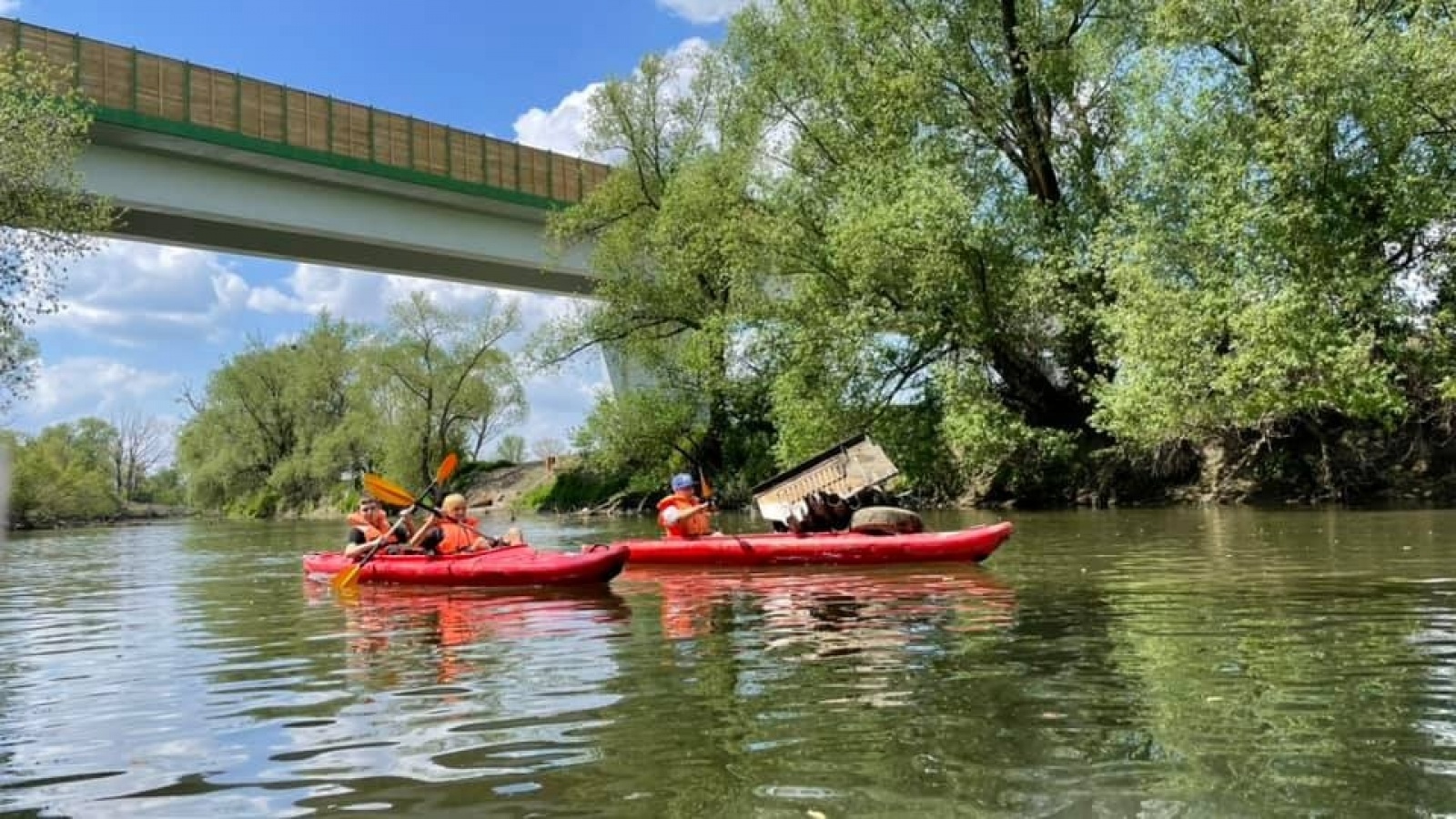 Zdjęcie w galerii na portalu naszraciborz.pl: Pływające śmieciarki na Odrze. Ekologiczna akcja w Raciborzu [FOTO] wiadomości z regionu