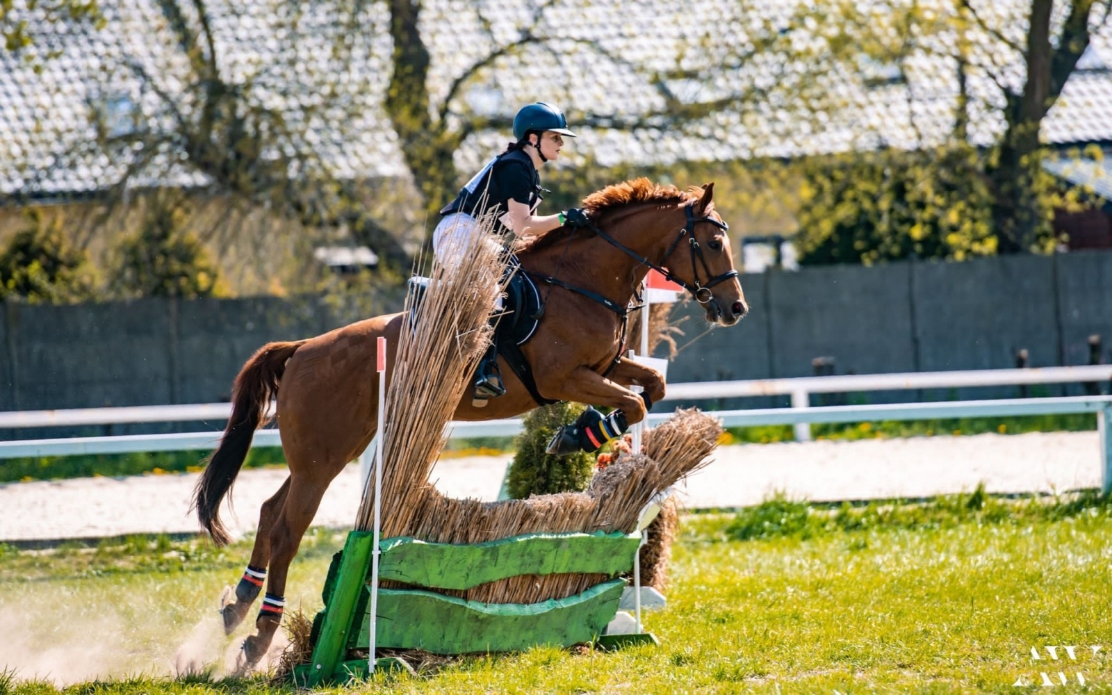 Zdjęcie w galerii na portalu naszraciborz.pl: Świetny występ raciborzanki w zawodach krajowych WKKW wiadomości z regionu