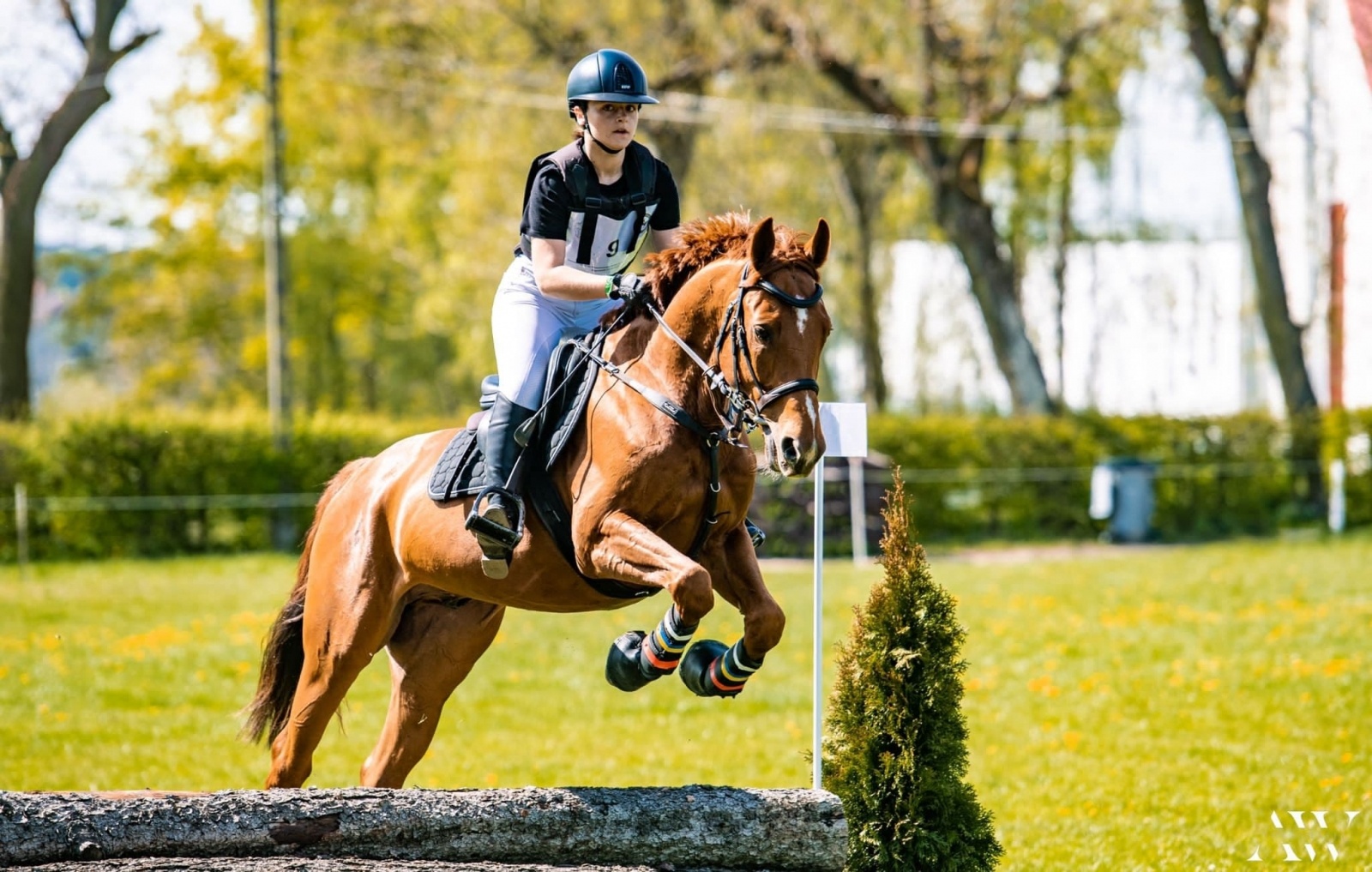 Zdjęcie w galerii na portalu naszraciborz.pl: Świetny występ raciborzanki w zawodach krajowych WKKW wiadomości z regionu