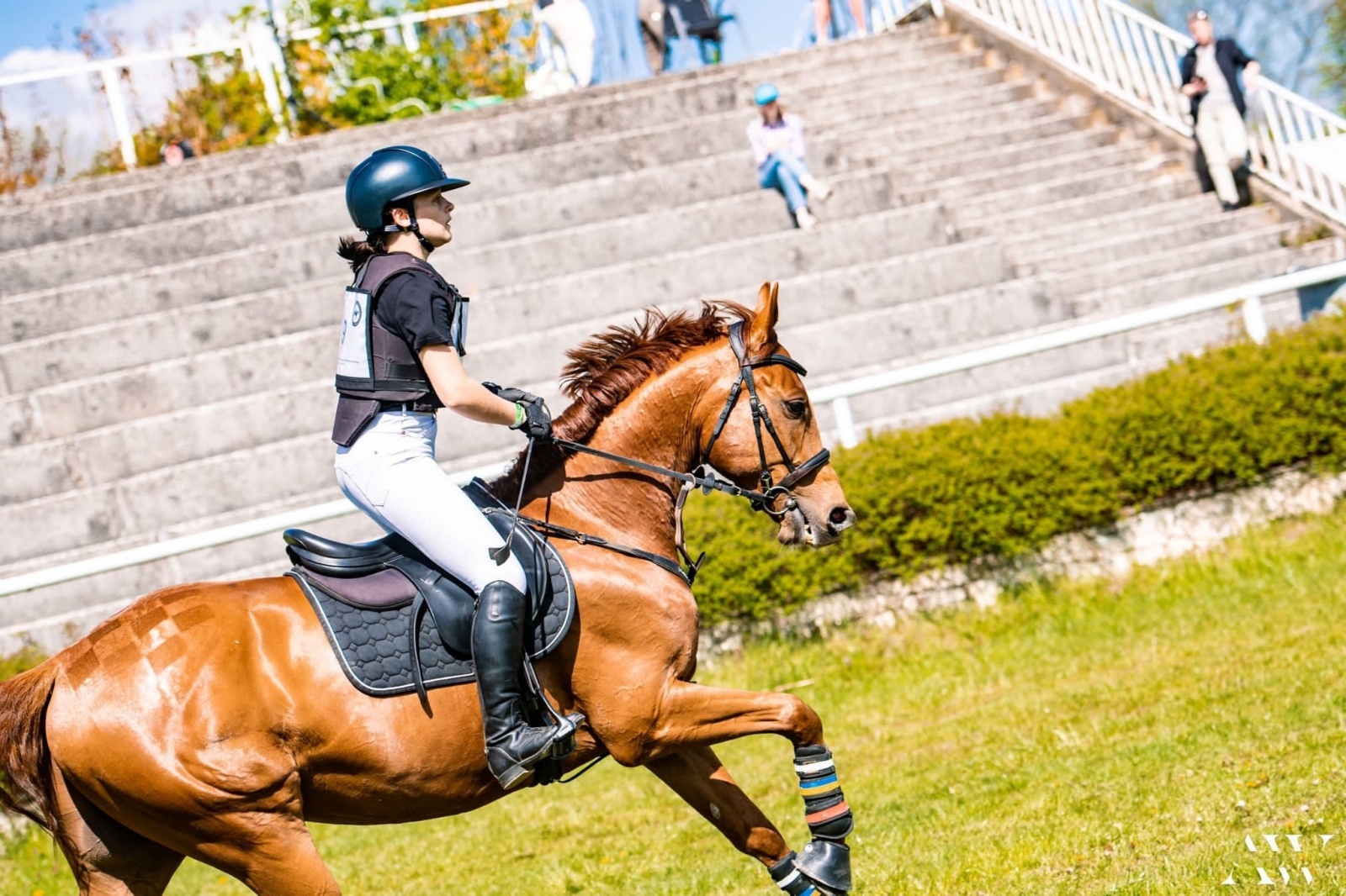 Zdjęcie w galerii na portalu naszraciborz.pl: Świetny występ raciborzanki w zawodach krajowych WKKW wiadomości z regionu