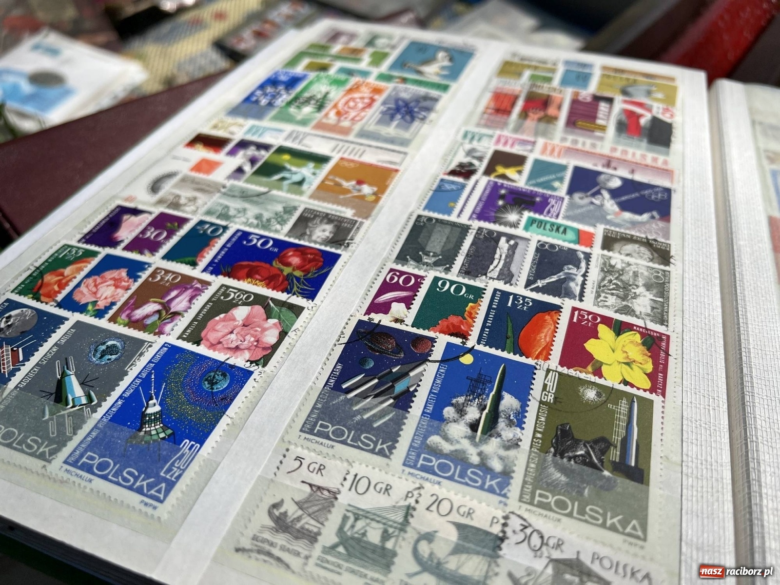 Zdjęcie w galerii na portalu naszraciborz.pl: Tłumy na jarmarku w Chałupkach [FOTO i WIDEO] wiadomości z regionu