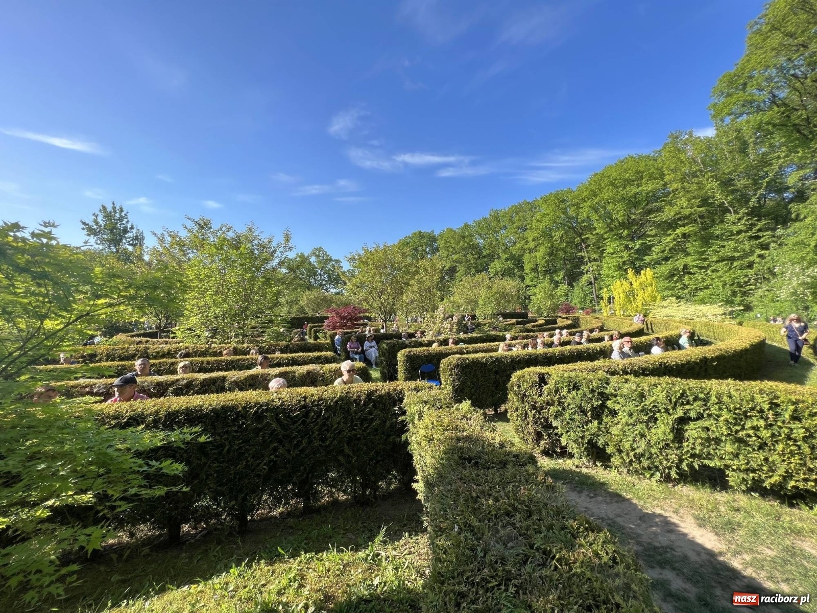 Zdjęcie w galerii na portalu naszraciborz.pl: W muzycznym świecie Walta Disney'a. Koncert w Zaczarowanym Ogrodzie [FOTO i WIDEO] wiadomości z regionu