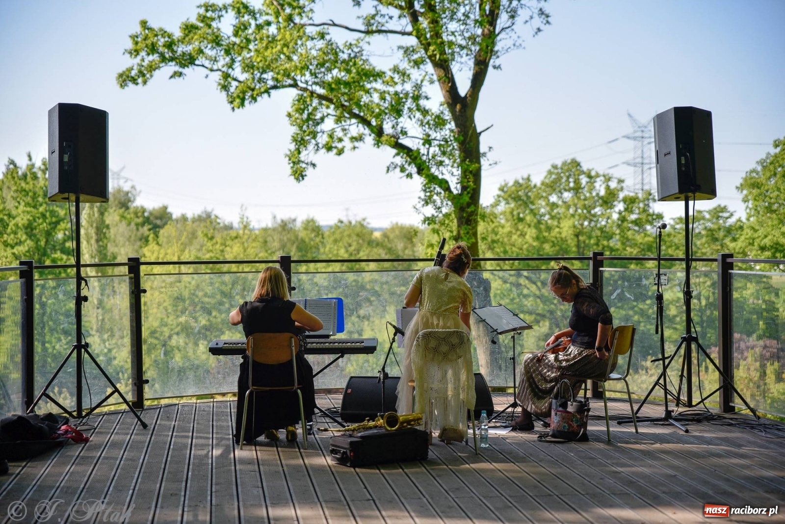 Zdjęcie w galerii na portalu naszraciborz.pl: W muzycznym świecie Walta Disney'a. Koncert w Zaczarowanym Ogrodzie [FOTO i WIDEO] wiadomości z regionu