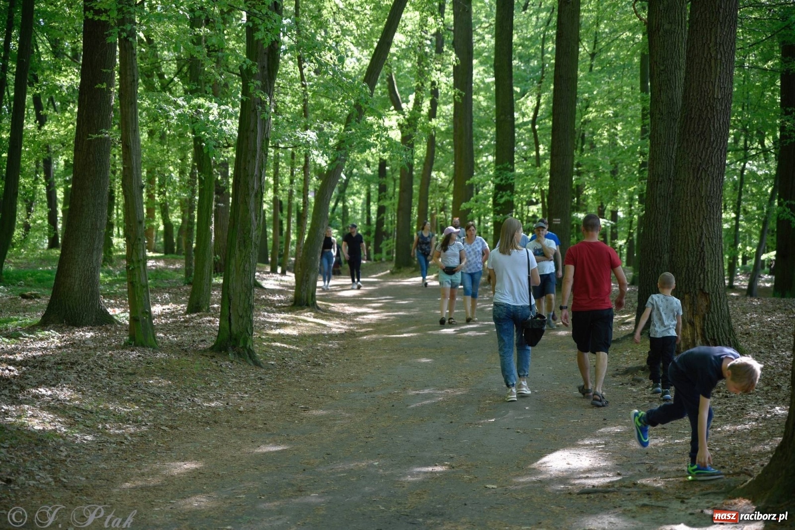 Zdjęcie w galerii na portalu naszraciborz.pl: W muzycznym świecie Walta Disney'a. Koncert w Zaczarowanym Ogrodzie [FOTO i WIDEO] wiadomości z regionu