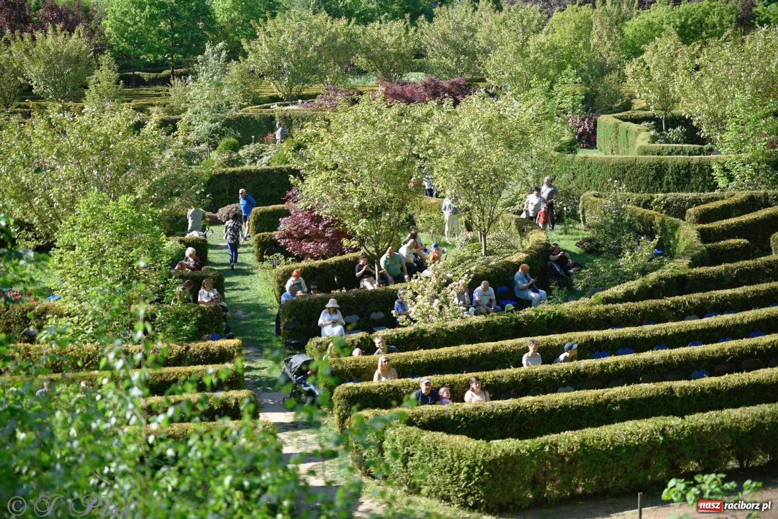 Zdjęcie w galerii na portalu naszraciborz.pl: W muzycznym świecie Walta Disney'a. Koncert w Zaczarowanym Ogrodzie [FOTO i WIDEO] wiadomości z regionu