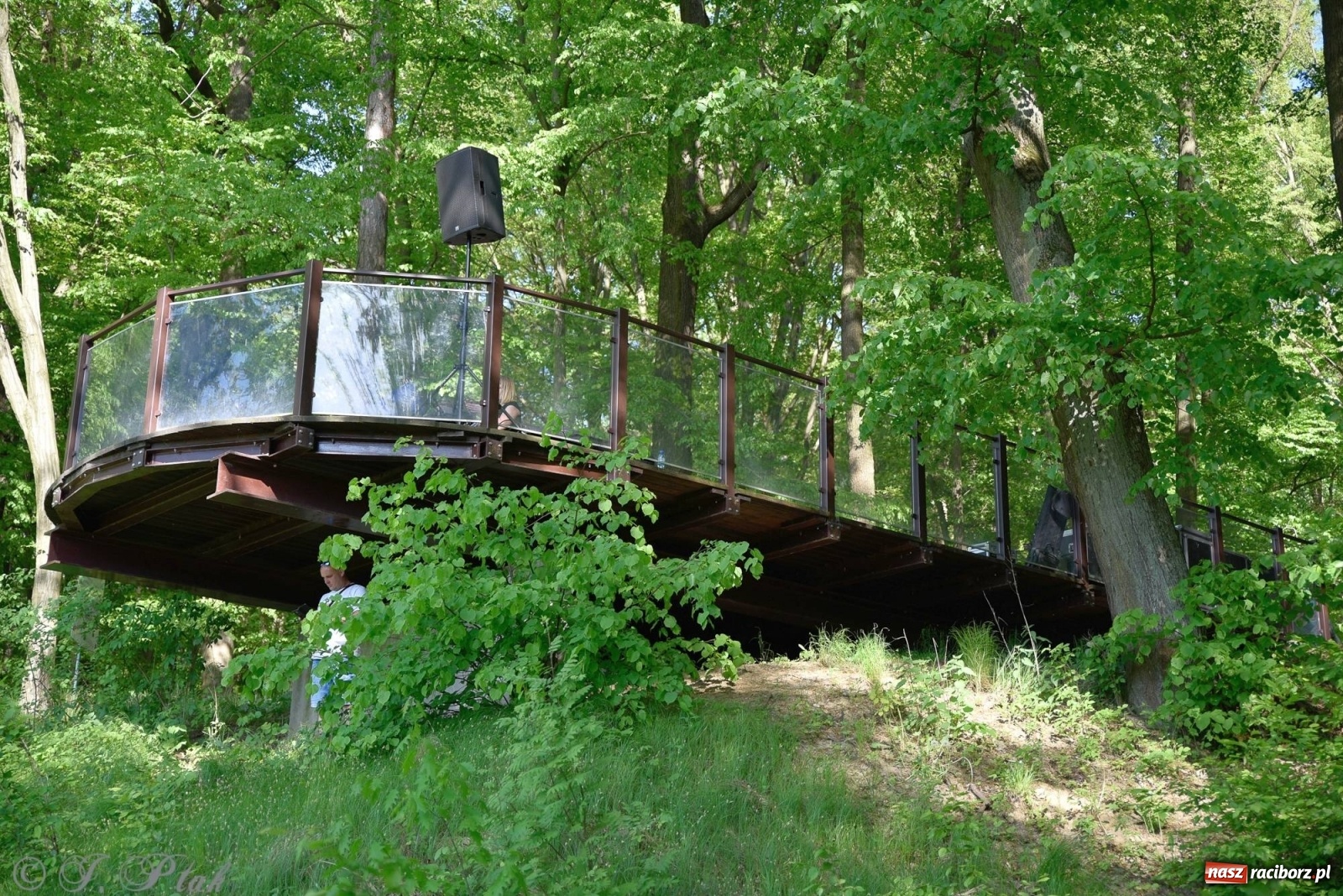 Zdjęcie w galerii na portalu naszraciborz.pl: W muzycznym świecie Walta Disney'a. Koncert w Zaczarowanym Ogrodzie [FOTO i WIDEO] wiadomości z regionu