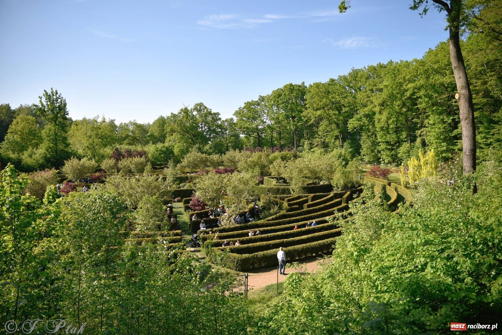 Zdjęcie w galerii na portalu naszraciborz.pl: W muzycznym świecie Walta Disney'a. Koncert w Zaczarowanym Ogrodzie [FOTO i WIDEO] wiadomości z regionu