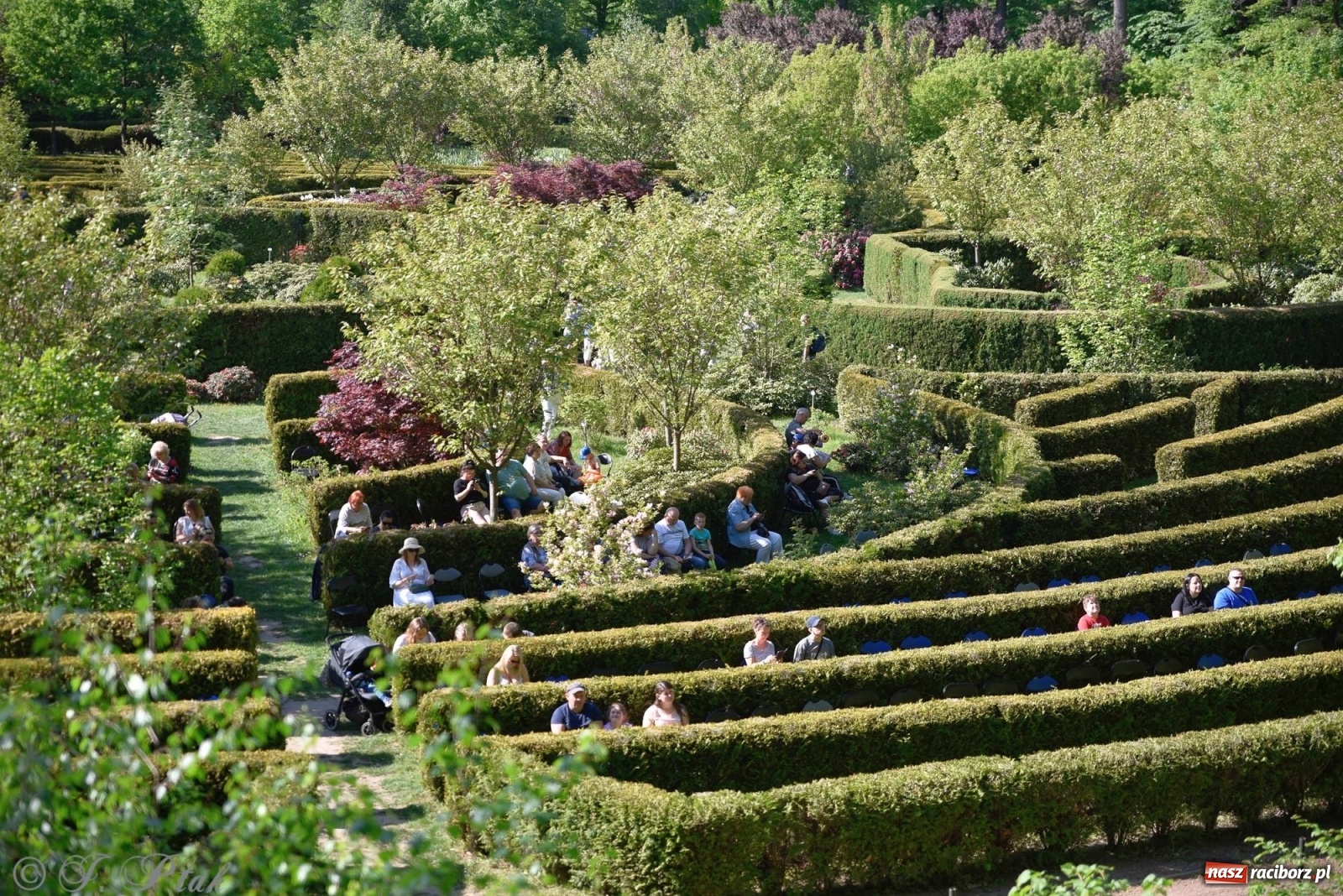 Zdjęcie w galerii na portalu naszraciborz.pl: W muzycznym świecie Walta Disney'a. Koncert w Zaczarowanym Ogrodzie [FOTO i WIDEO] wiadomości z regionu