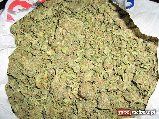 Zdjęcie w galerii na portalu naszraciborz.pl: Wpadli z narkotykami wiadomości z regionu