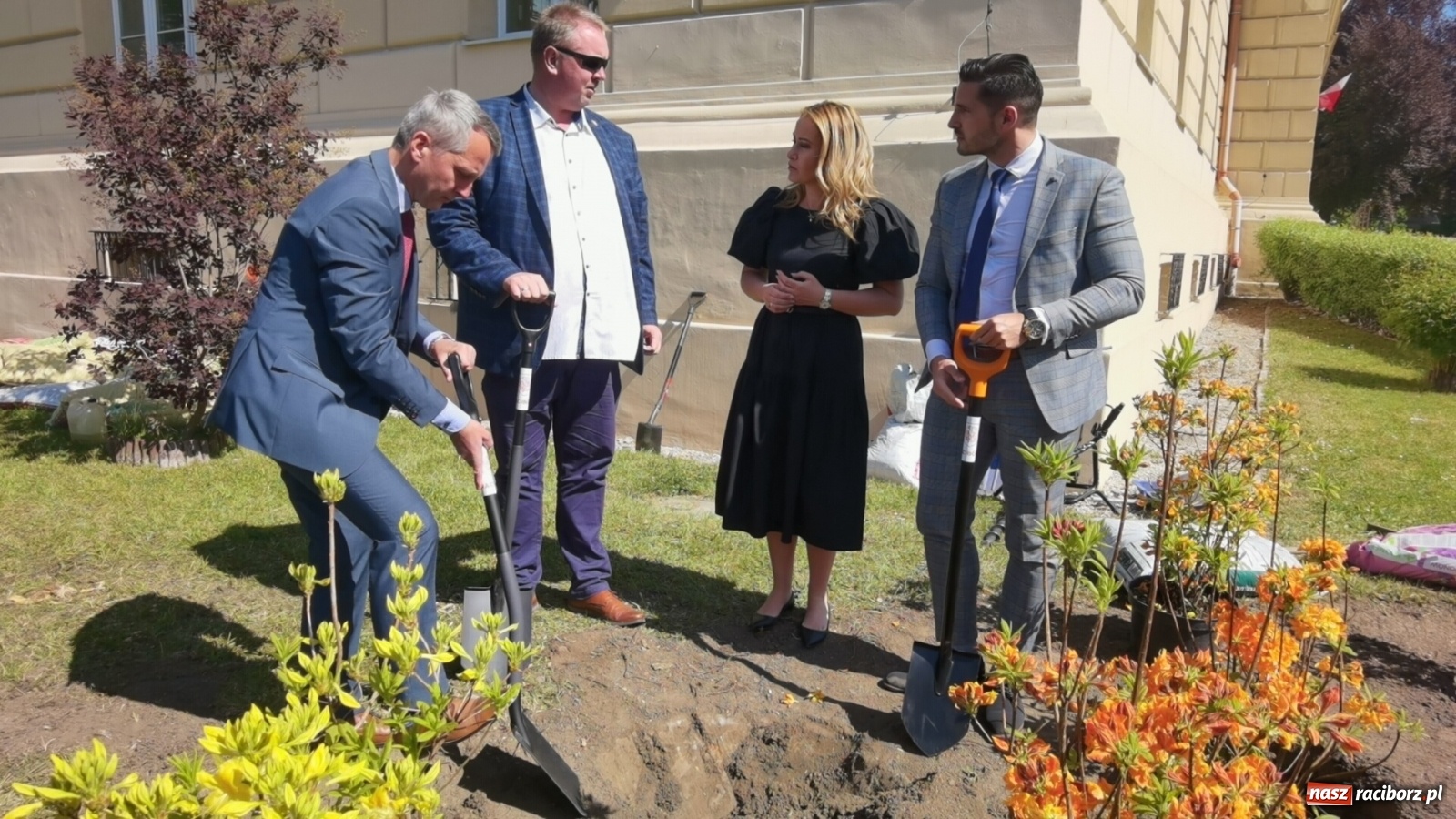 Zdjęcie w galerii na portalu naszraciborz.pl: Szlak azalii i różaneczników staje się coraz większy [FOTO i WIDEO] wiadomości z regionu