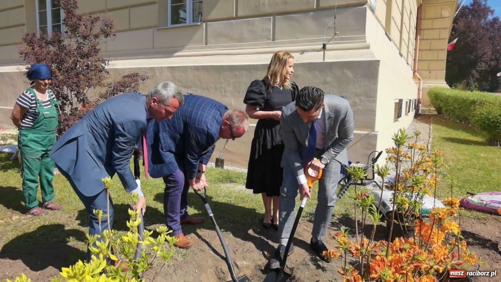 Zdjęcie w galerii na portalu naszraciborz.pl: Szlak azalii i różaneczników staje się coraz większy [FOTO i WIDEO] wiadomości z regionu