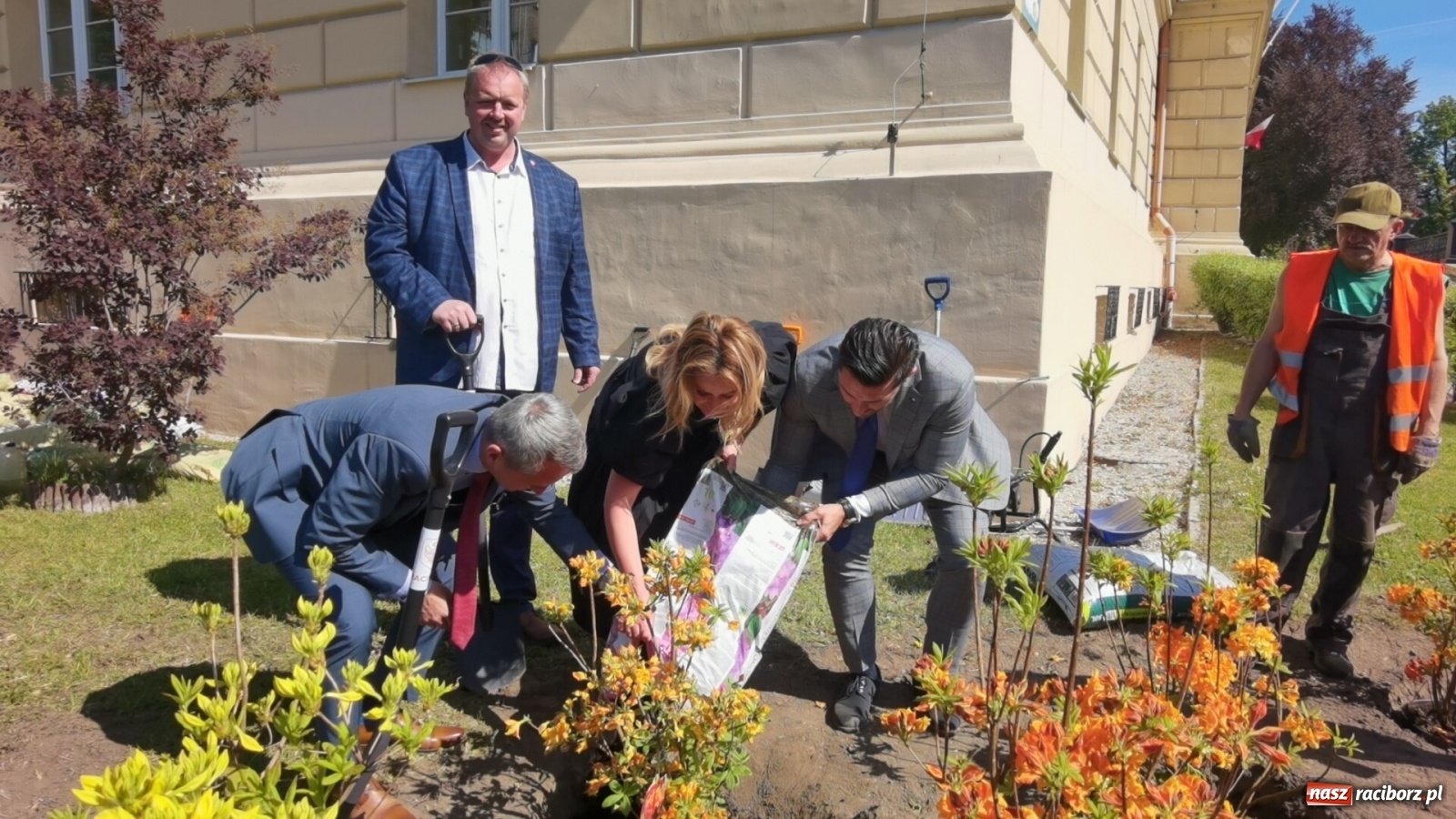 Zdjęcie w galerii na portalu naszraciborz.pl: Szlak azalii i różaneczników staje się coraz większy [FOTO i WIDEO] wiadomości z regionu