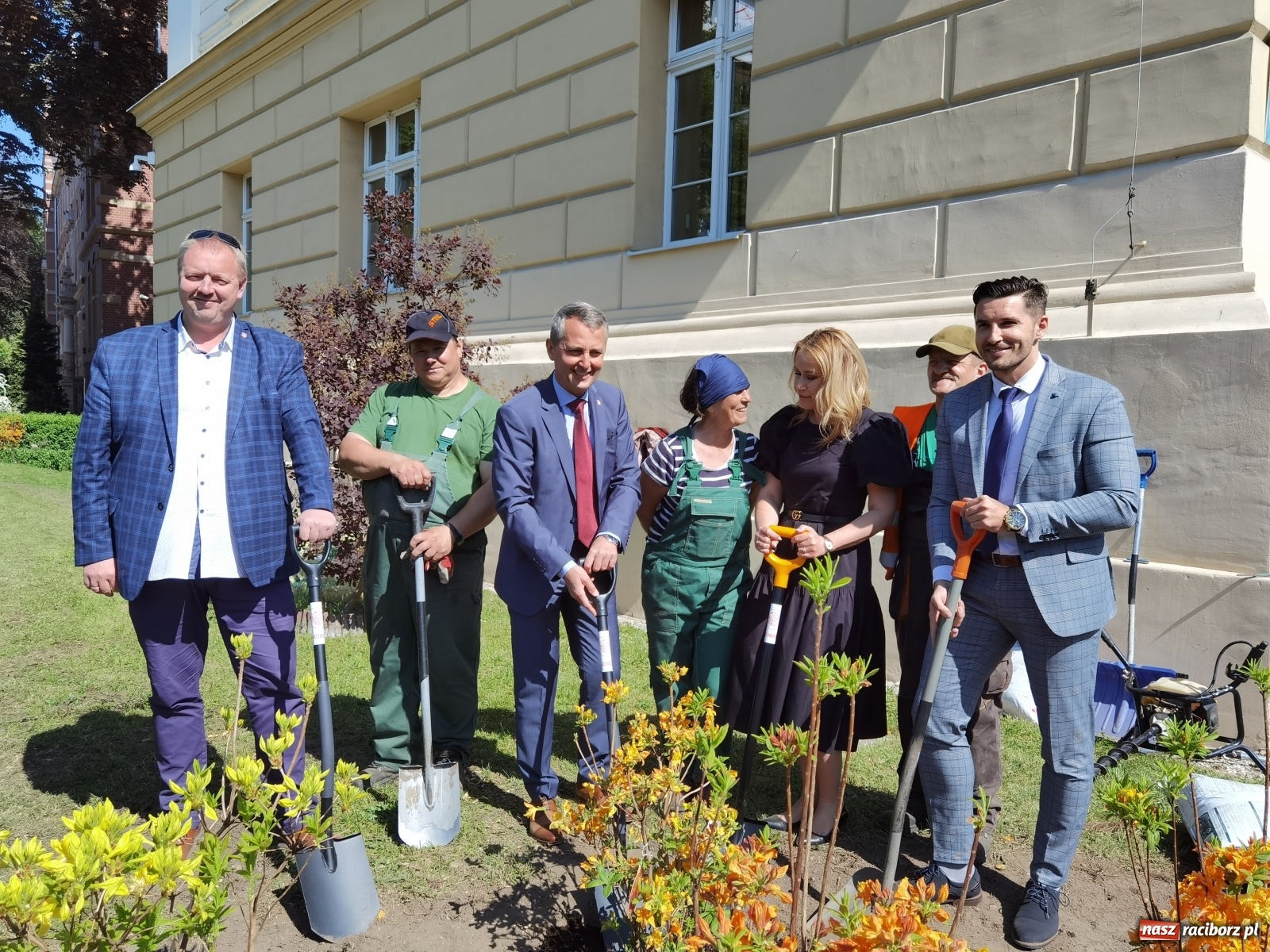 Zdjęcie w galerii na portalu naszraciborz.pl: Szlak azalii i różaneczników staje się coraz większy [FOTO i WIDEO] wiadomości z regionu