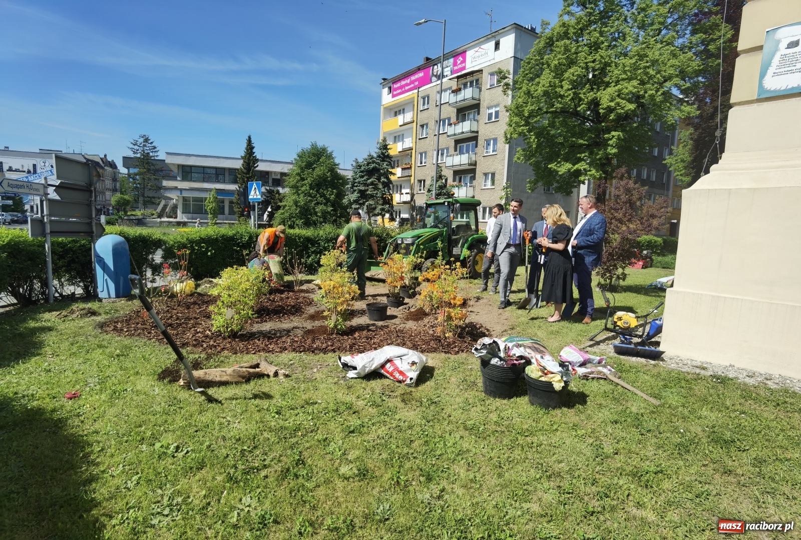 Zdjęcie w galerii na portalu naszraciborz.pl: Szlak azalii i różaneczników staje się coraz większy [FOTO i WIDEO] wiadomości z regionu