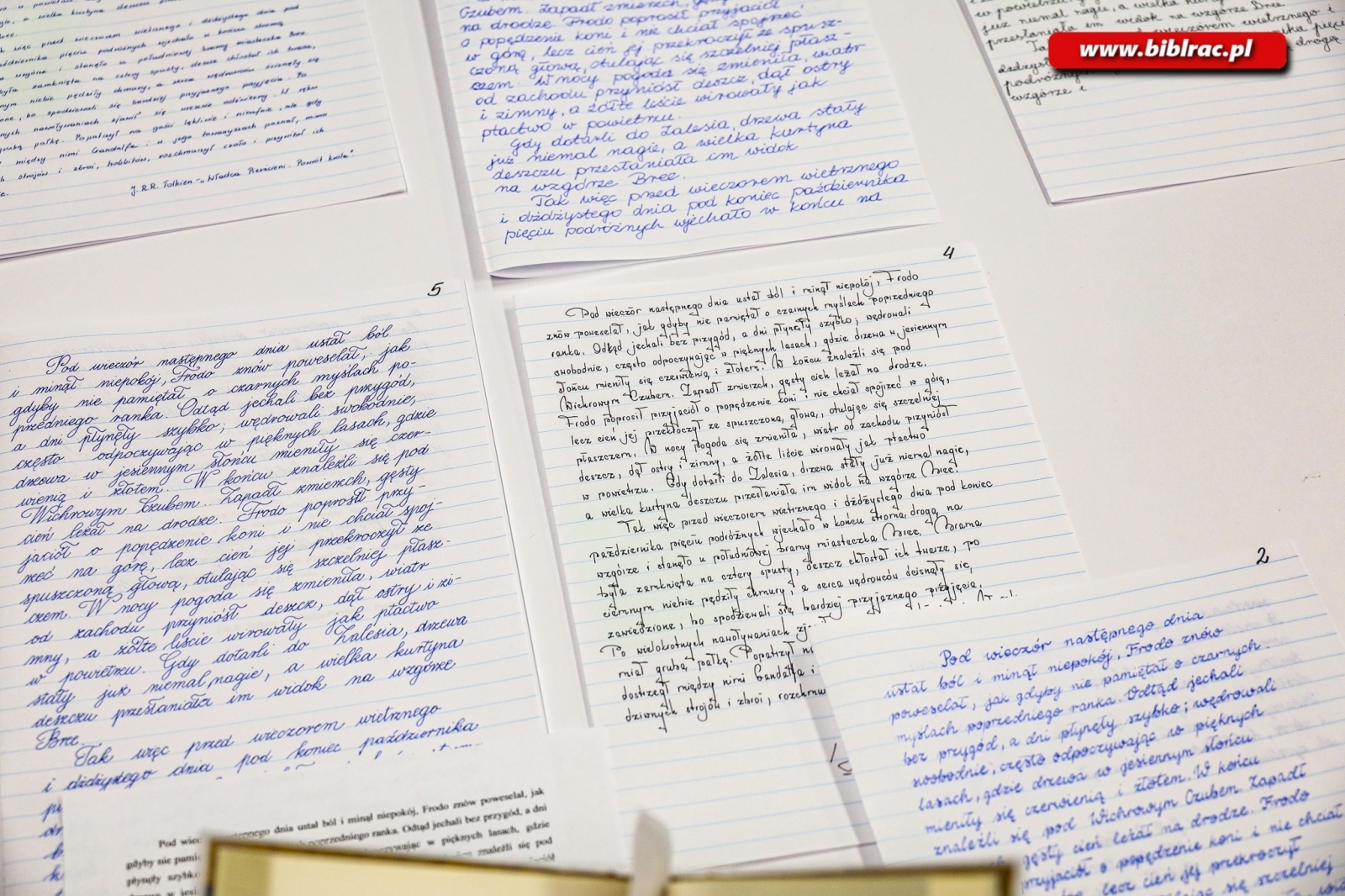 Zdjęcie w galerii na portalu naszraciborz.pl: Dorośli sprawdzili się w konkursie pięknego pisania wiadomości z regionu