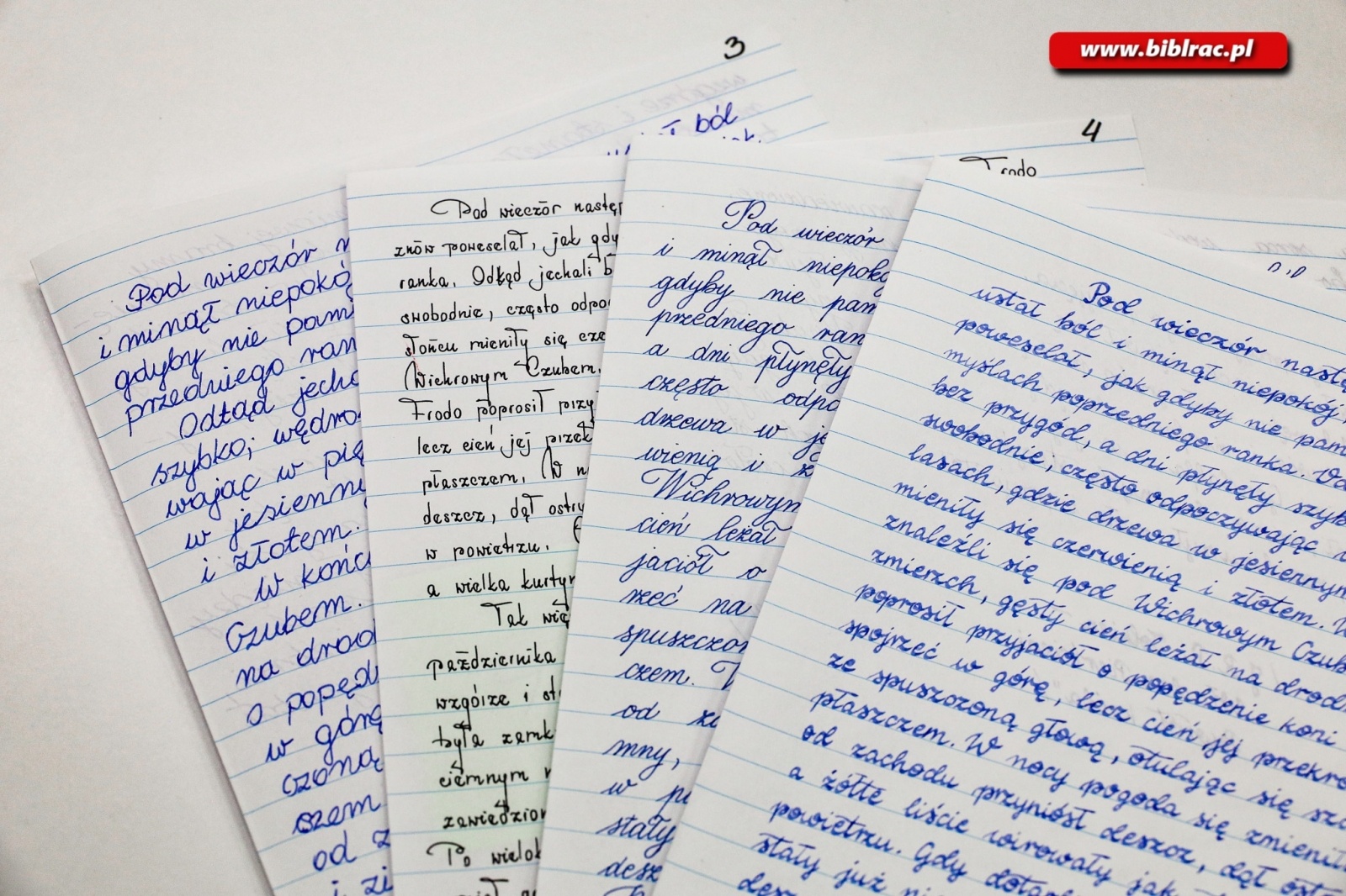 Zdjęcie w galerii na portalu naszraciborz.pl: Dorośli sprawdzili się w konkursie pięknego pisania wiadomości z regionu