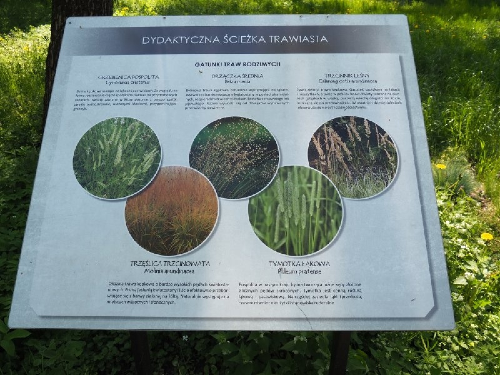 Zdjęcie w galerii na portalu naszraciborz.pl: Urzędnicy z Raciborza na warsztatach w Lublinie wiadomości z regionu