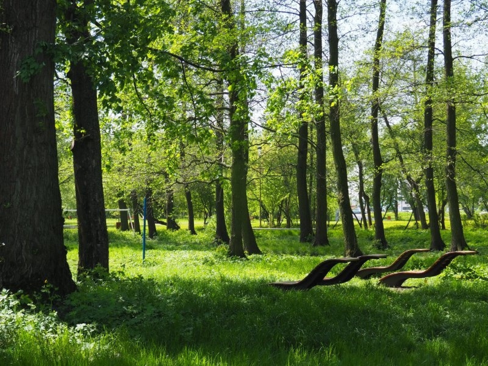 Zdjęcie w galerii na portalu naszraciborz.pl: Urzędnicy z Raciborza na warsztatach w Lublinie wiadomości z regionu