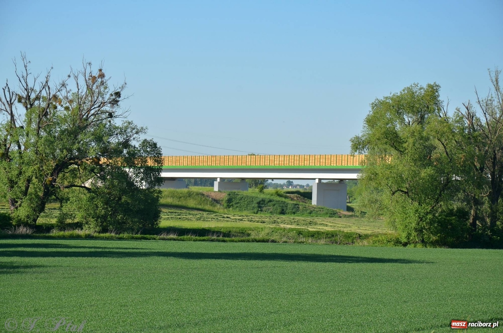 Zdjęcie w galerii na portalu naszraciborz.pl: Obwodnica i okolice. Tak zagospodarowano teren wokół nowej drogi wiadomości z regionu