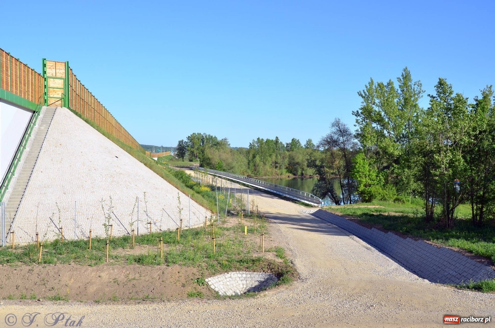 Zdjęcie w galerii na portalu naszraciborz.pl: Obwodnica i okolice. Tak zagospodarowano teren wokół nowej drogi wiadomości z regionu